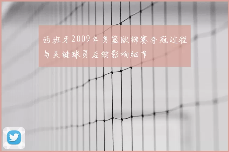 西班牙2009年男篮欧锦赛夺冠过程与关键球员后续影响细节