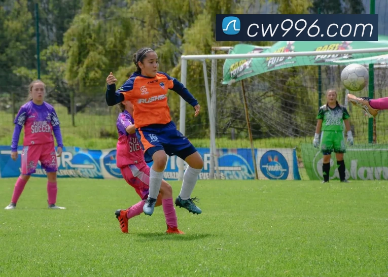 滚球的app官网(中国)有限公司 - 官网发展历程